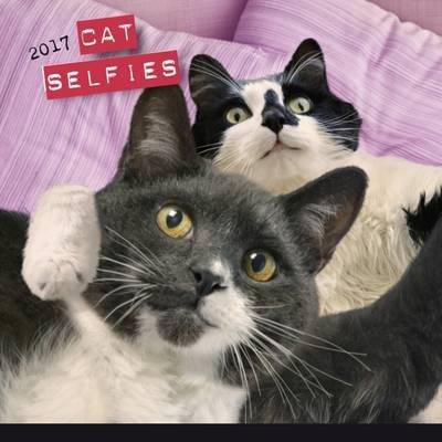 Cat Selfies 2017 (Calendar)