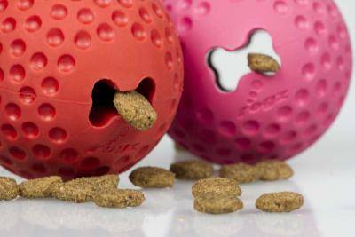 Rogz Gumz Dog Treat Ball - Large 78mm (Red)