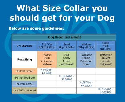 Rogz Utility Fanbelt Obedience Half-Check Dog Collar - Large 20mm (Chocolate Reflective)