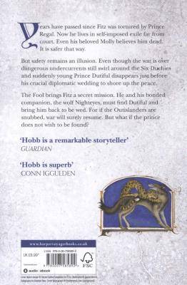 Fool's Errand (Paperback) Picture 2