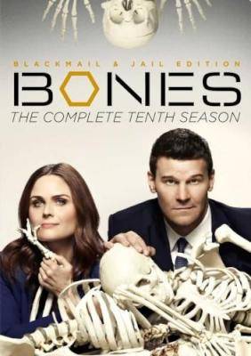 Bones - Season 10 (DVD, Boxed set) Picture 2