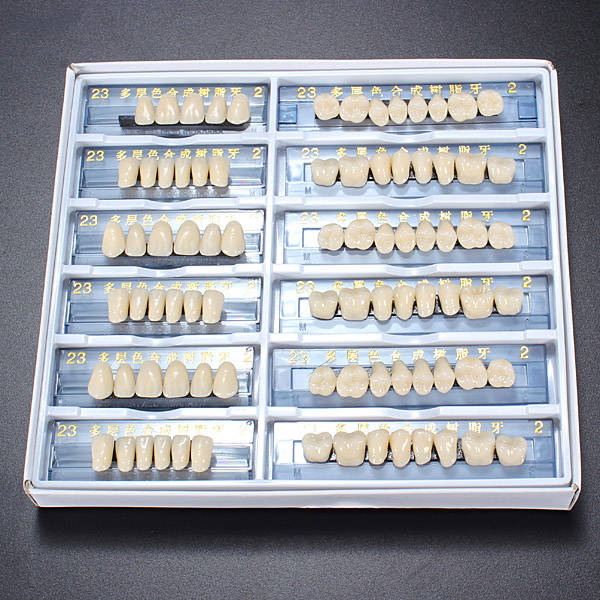 Acrylic Resin Denture Dental Teeth Shade A2 in An Red Box Oral Care