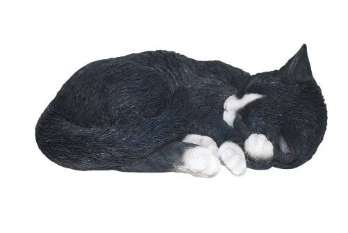 Vivid Arts Size B Real life Sleeping Cat - Black/ White