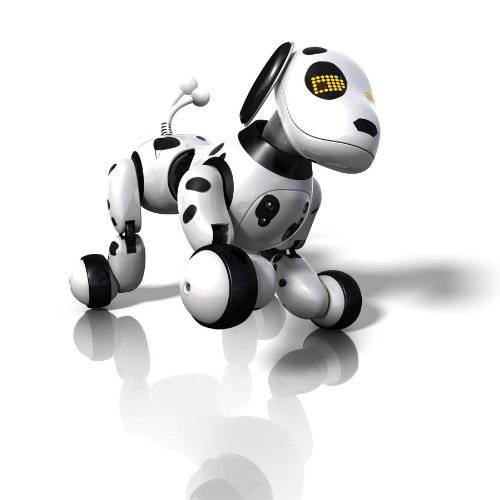 Zoomer