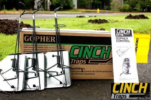 Gopher Kit Trap: Three Gopher Traps With Mole Tunnel Flags and Instructions - By Cinch Traps - Made