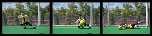 Nikon D3100 Digital SLR Highlights