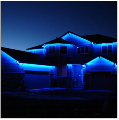 3528 SMD 300 Leds Waterproof Flexible LED-2