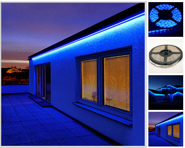 3528 SMD 300 Leds Waterproof Flexible LED-5