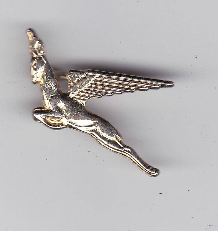 SAA FLYING SPRINGBOK BADGE PIN