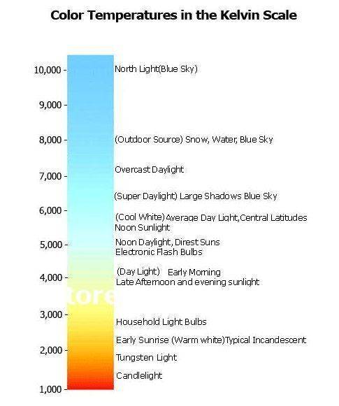 84e2c8cd6b17113f0f954c7b34a79651