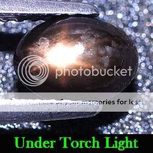 1.41 Ct. Natural Black 6 Ray Star Sapphire Gemstone - 100% Natural and Untreated.
