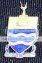 Wits Coat Of Arms Badge