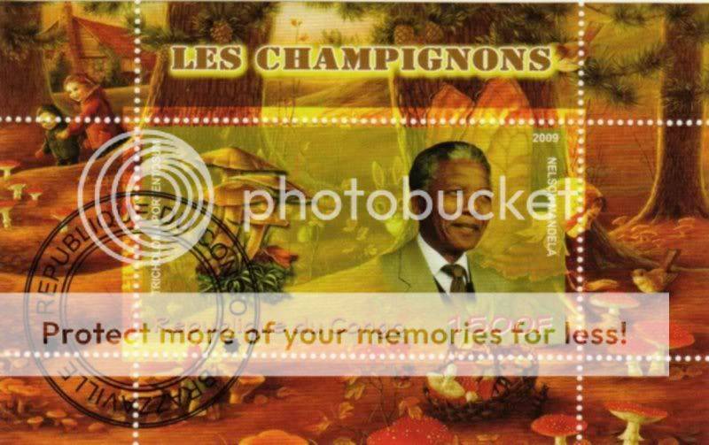 Congo - 2009 - N.Mandela - Mushrooms