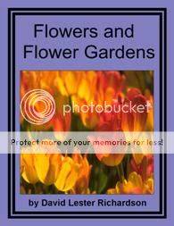 Flowers & Flower Gardens - Ebook