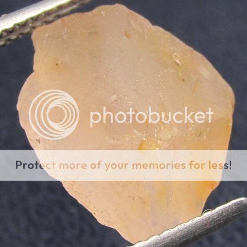  photo 3a41a60d-9f7d-4633-8d49-6b7bb76c887d_zps7gdedza2.jpg
