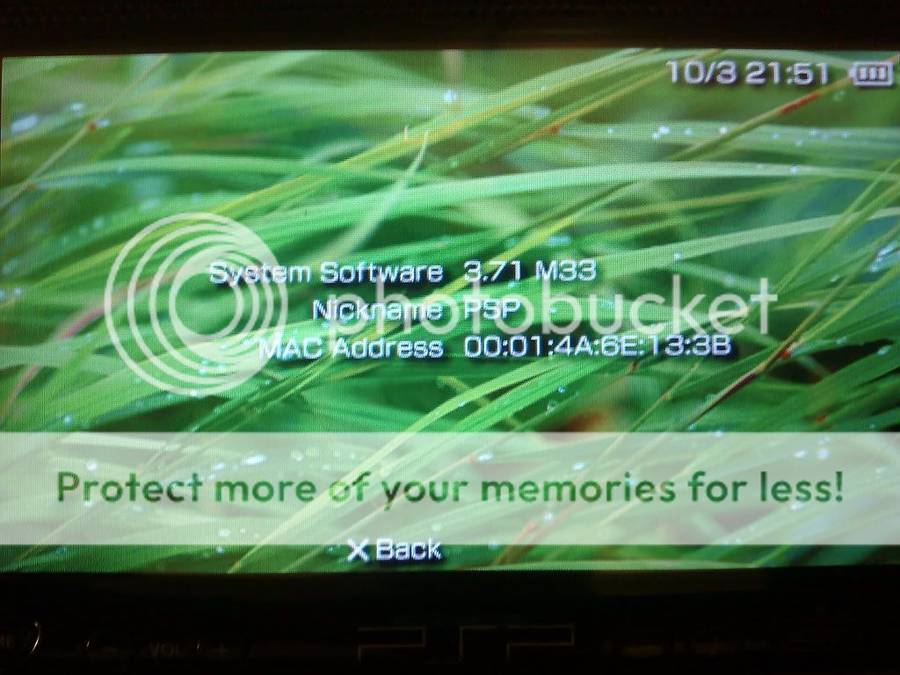 03102007127.jpg picture by JPCK