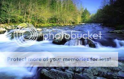 yi019.jpg picture by terence78