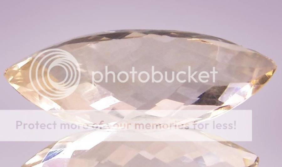 bm-03.jpg picture by brimay_photos