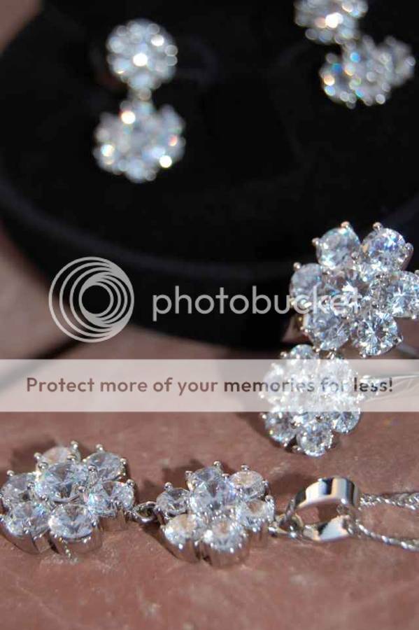 DSC_5505new.jpg picture by carynbarlow