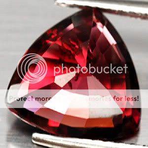 RHO6102C.jpg picture by westmanor1970