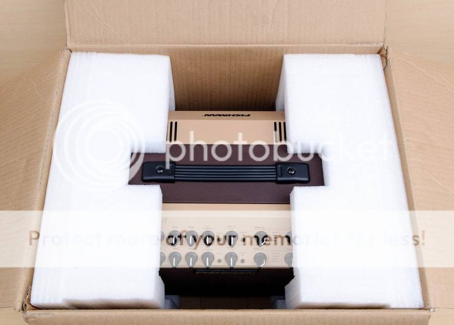 Fishman Loudbox Artist Acoustic Guitar Amplifier PRO-LBX-EX6 PRO-LBX-600 Taylor Martin Fender Gibson