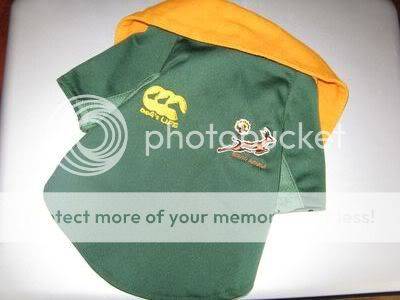 Springbok shirt