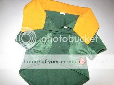 Springbok shirt