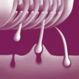 Gentle tweezing discs