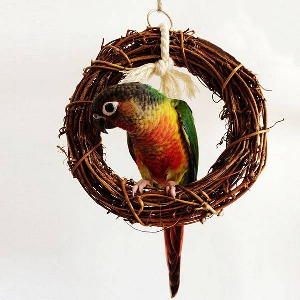 Rattan Bird Parrot Swing Ring Parrot Stand Holder Bird Parrot Toys Rattan Stands