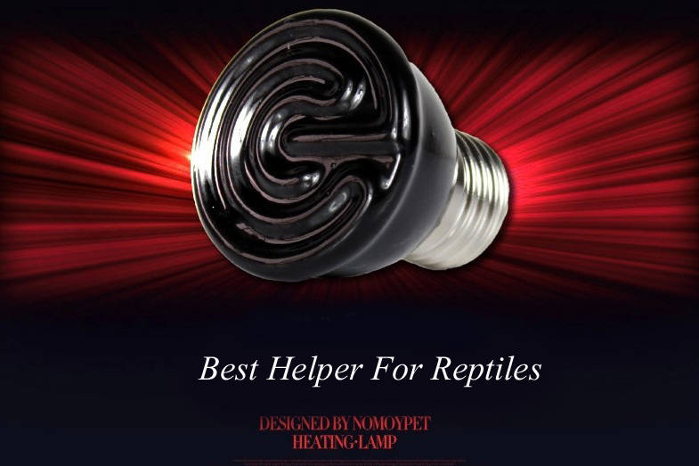 220V Reptile Insulation Lamp Crawler Mini ceramic Heating Lamp Night Light 20W/40W/60W/100W