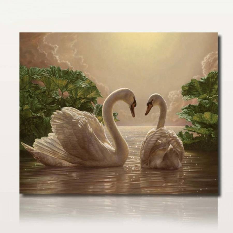 40X50CM Two Beauty Swans Painting DIY Self Handcrafted Paint Kit Unframed Home Decoration