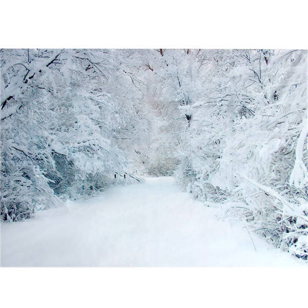 2.1 x 1.5m Xmas Heavy Snow Trees Road Vinyl Photography Studio Backdrop Background