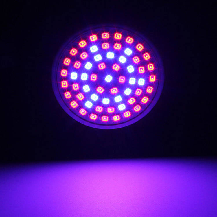 3W 41 Red 19 Blue garden plant grow lamp bulb