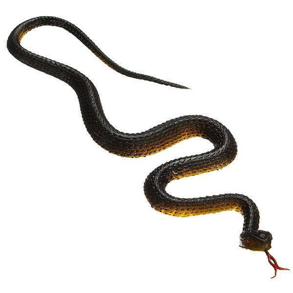 Halloween Tricky Props Simulation Black Rubber Snake