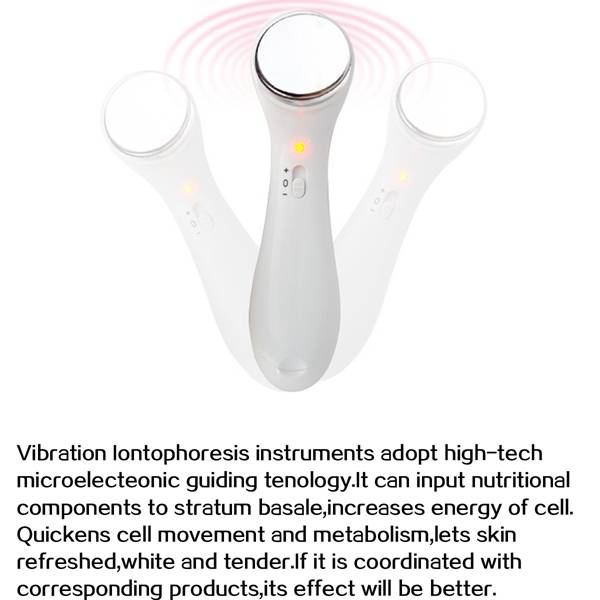 Micro Vibrate Anti-wrinkle Facial Massager Roller Ion Face Care Clean Tool