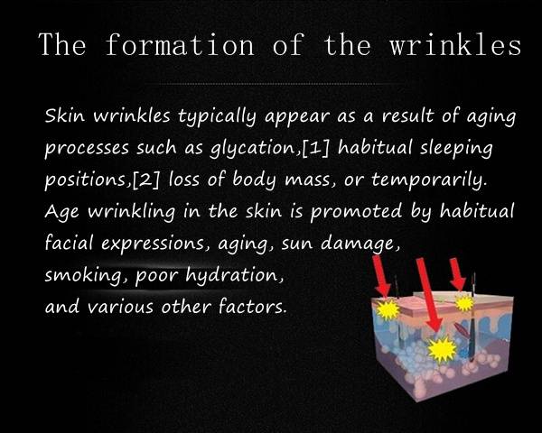 QYANF Argireline Anti-aging Concentrate Anti Wrinkle Essence Cream
