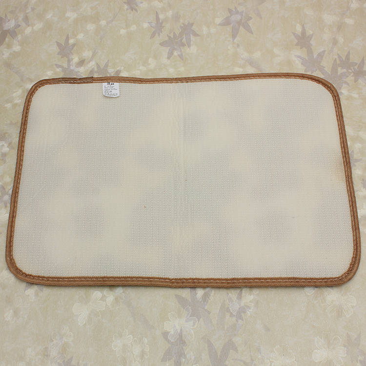 absorbent coral velvet carpet