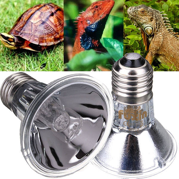 Reptile Halogen Spotlights Lamp