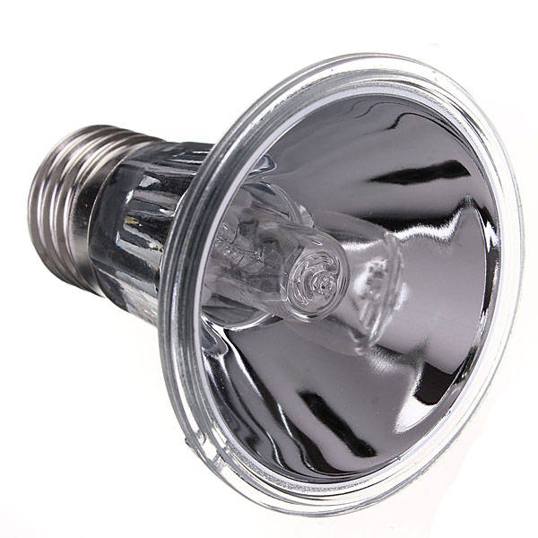 Reptile Halogen Spotlights Lamp