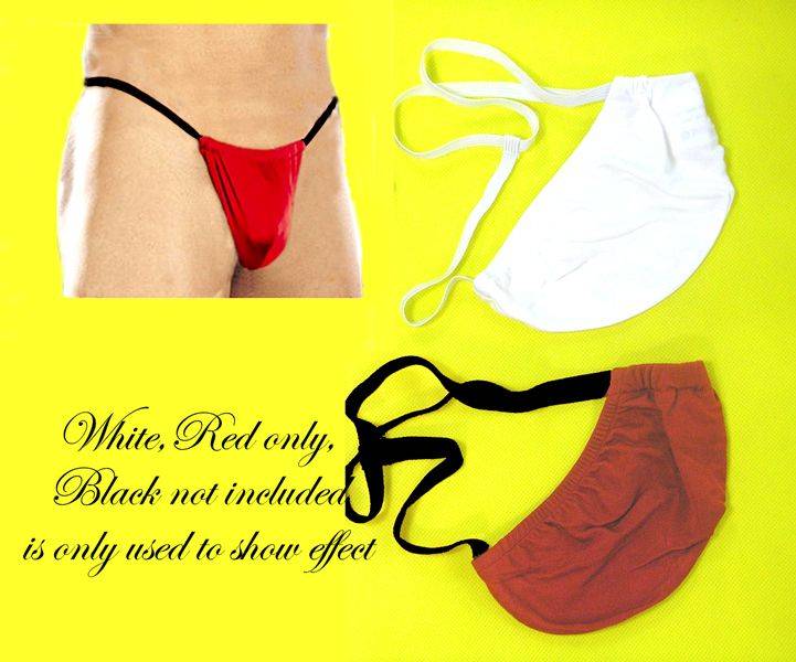 LOT 2PAIR PURE SILK KNIT BRIEFS MEN G-STRING POUCH THONG