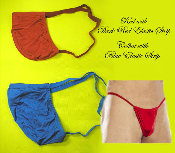 LOT 2PAIR PURE SILK KNIT BRIEFS MEN G-STRING POUCH THONG