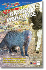 Branded Mongoose - Be The Creature Season 2 - Expedition Branded Mongoose Featuring Exciting Expedit