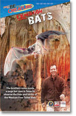 Bats - Be The Creature Season 2 - Expedition Bats Featuring Exciting Expeditions Of This Great Hit S