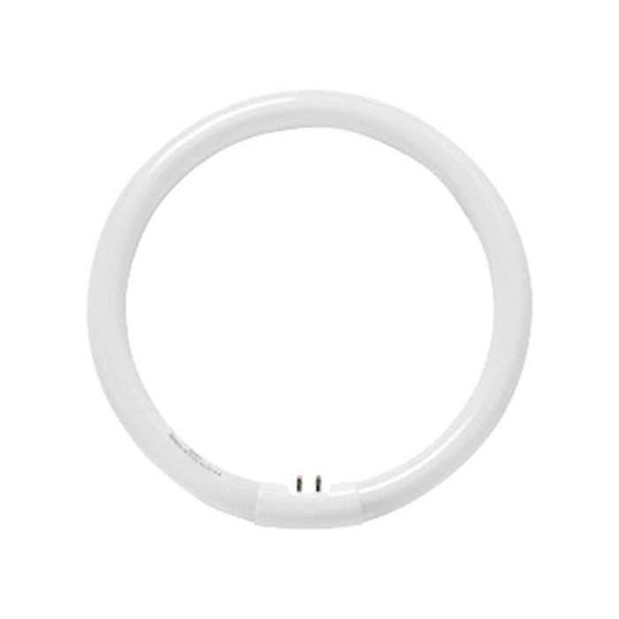 Radiant 32W Cool White T5 Circuline Fluorescent Lamp