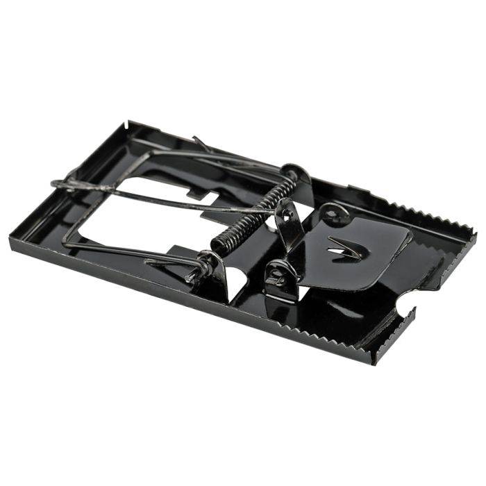 Steel Mouse Trap