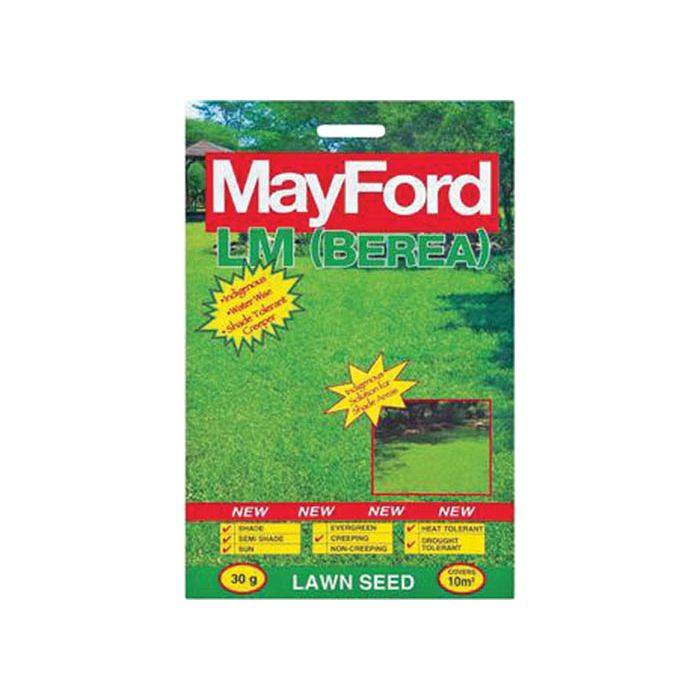 MayFord LM Berea Lawn Seeds 30g