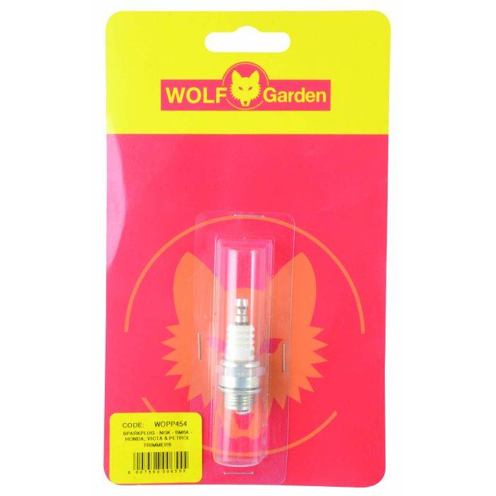 BM6A Spark Plug