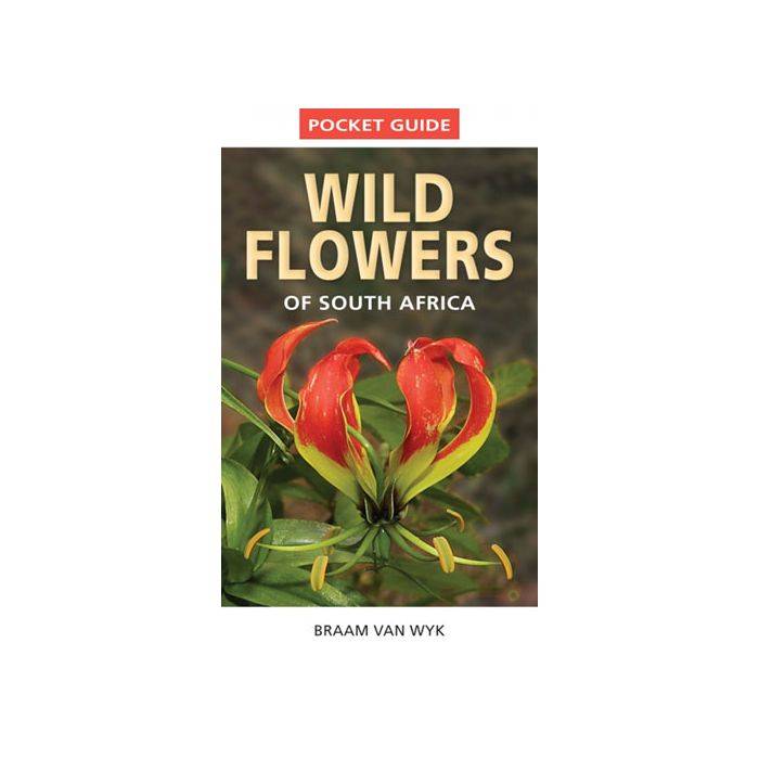 Pocket Guide Wild Flowers Of South Africa 1st Edition (Paperback)