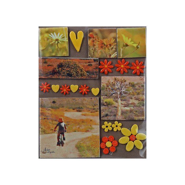 The Clay Club Large Namaqualand Combo Card
