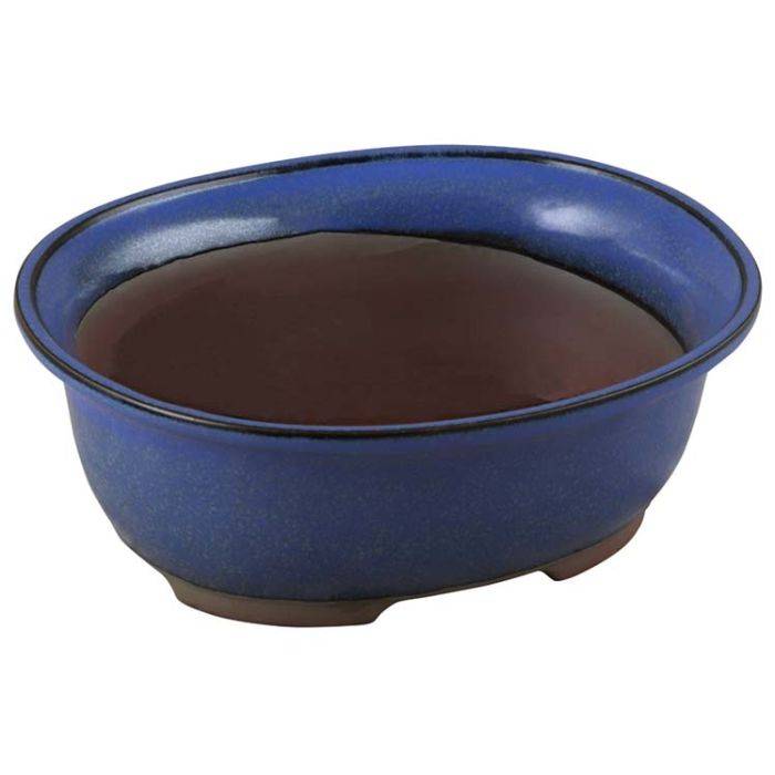 Medium Salix Fat Bonsai Pot 230 x 180 x 70mm